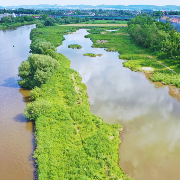 Ein ehemaliges Kiesgewinnungsgebiet an der Weser, das im Rahmen eines Naturschutzprojektes umgesetzt wurde.